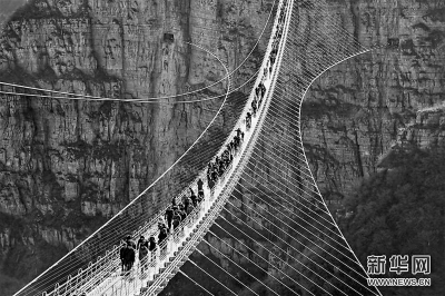 河北建成世界最长悬跨式玻璃桥 -中国网地产