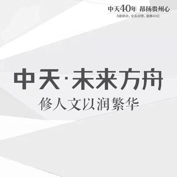 中天未来方舟推出电梯花园洋房 礼献全城-中国网地产