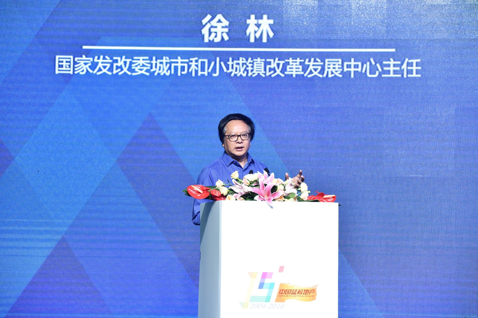 徐林：未来中国城市发展要侧重走可持续发展的道路-中国网地产