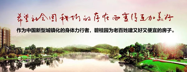 捐赠500万 碧桂园助力观山湖奋进发展-中国网地产