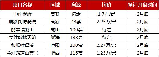 重磅 | 2019年1月合肥单项目销售业绩TOP10-中国网地产