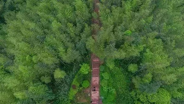 遵义一重量级国家森林公园规划获批 遵义人居幸福感又或提高-中国网地产