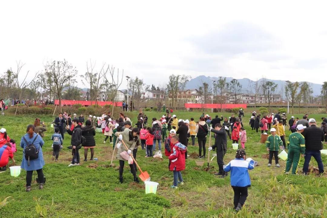 绥阳·林达阳光城携手实验二小开展植树公益活动-中国网地产