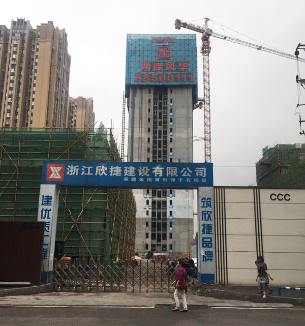 两岸风华亮相 金地重庆新项目将推出洋房和高层-中国网地产