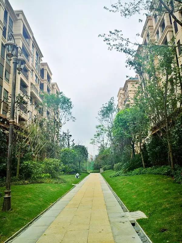  绥阳林达阳光城：园林让生活回归诗意 让心沉醉于自然中 -中国网地产