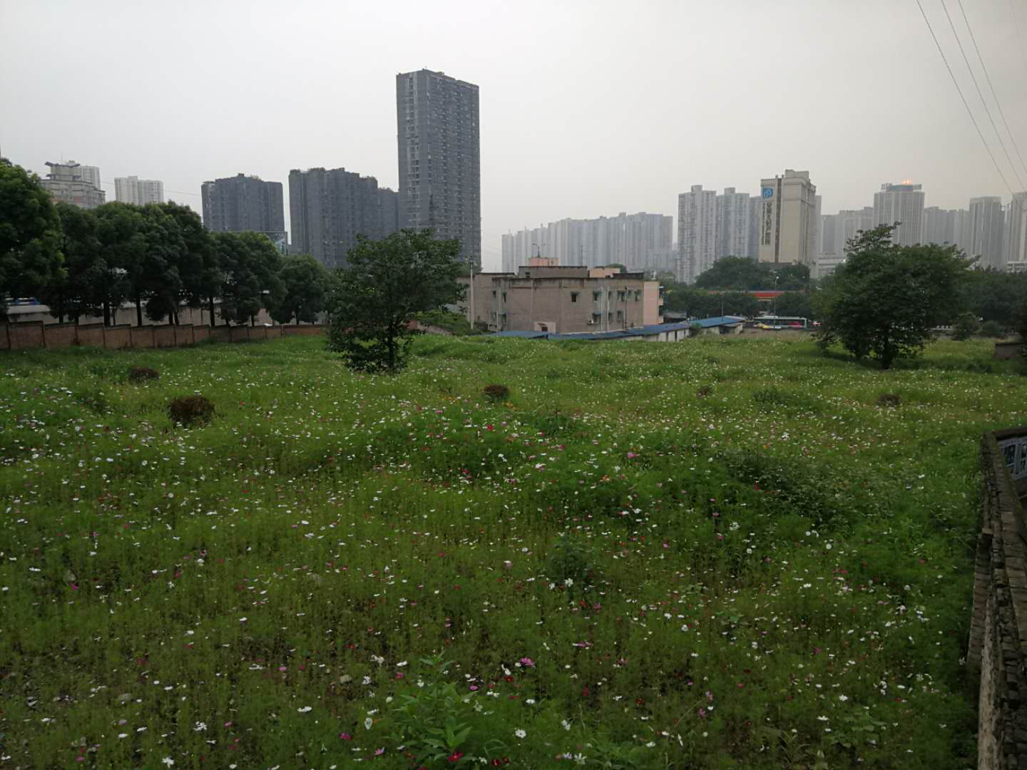 重庆主城区老旧小区改造步调加快提升-中国网地产