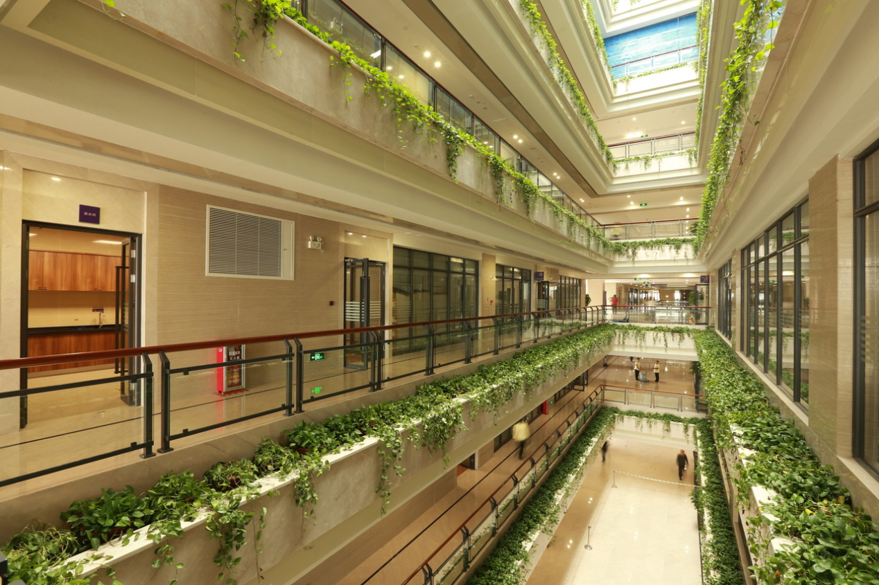 碧桂园领跑房地产建筑业绿色转型升级-中国网地产
