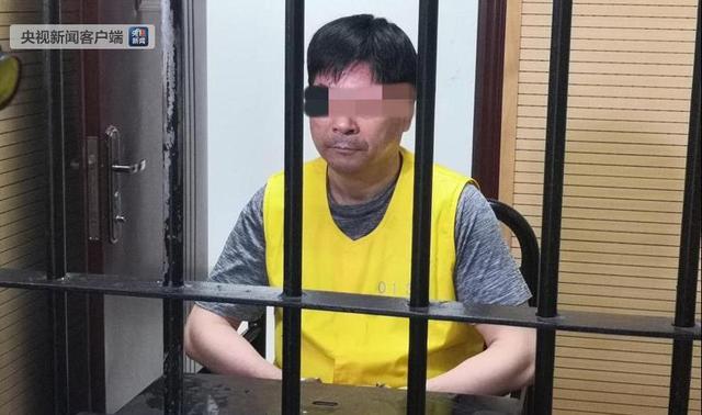 央视披露：王某某受审现场 因猥亵儿童罪被批捕-中国网地产