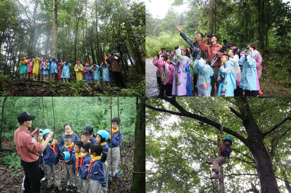 国家森林公园里的“夏校”，熊猫森林国际探索学校开学了！-中国网地产