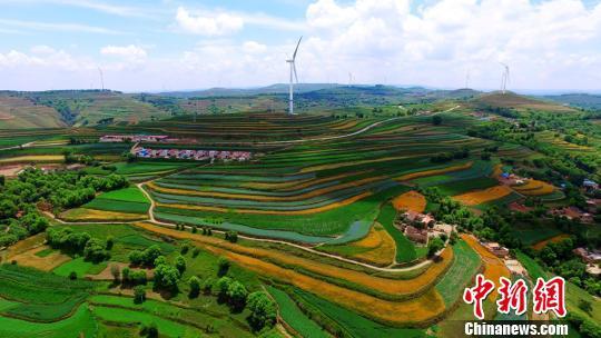 自然资源部：对闲置土地数量较多地区减少新增用地安排-中国网地产