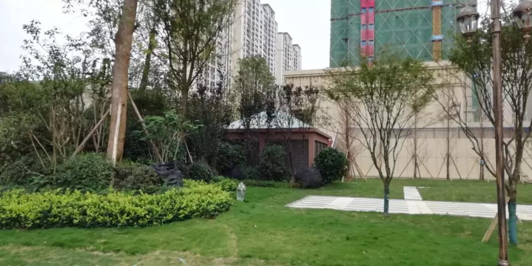 林达·阳光新城：工程捷报 不负厚爱 理想家境美好遇见-中国网地产