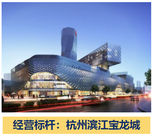 聚焦长三角，与城市共成长——宝龙地产香港联交所成功上市十周年-中国网地产