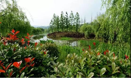金科白鹭湖：双公园盛景  重新定义生活的诗意与远方-中国网地产