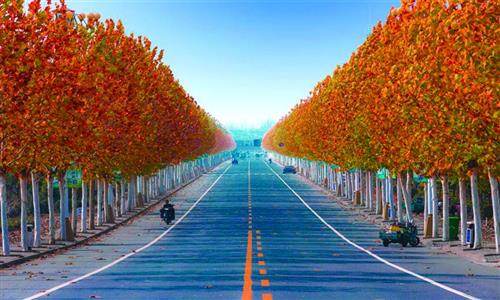 南京456公里农村公路将提档升级-中国网地产