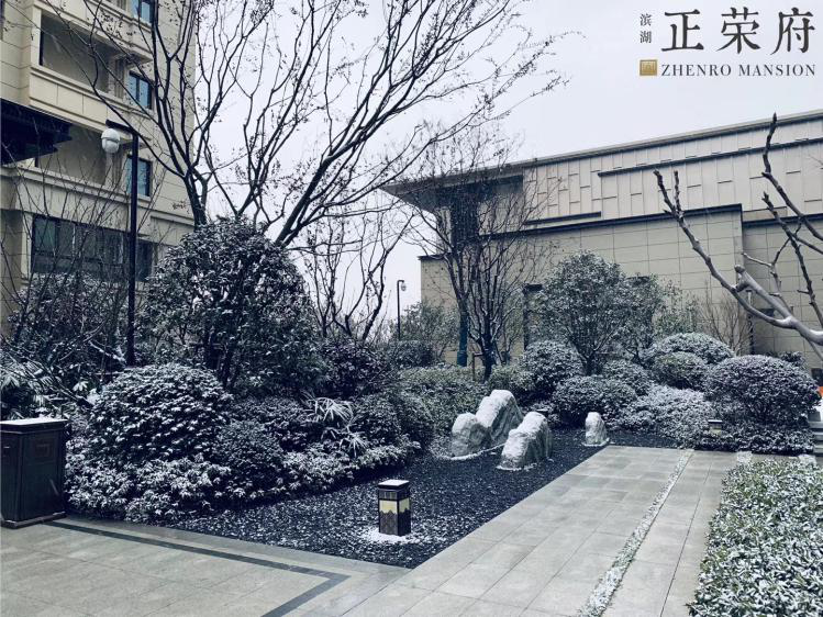 2020年的第一场雪，比以往来的更美一些-中国网地产