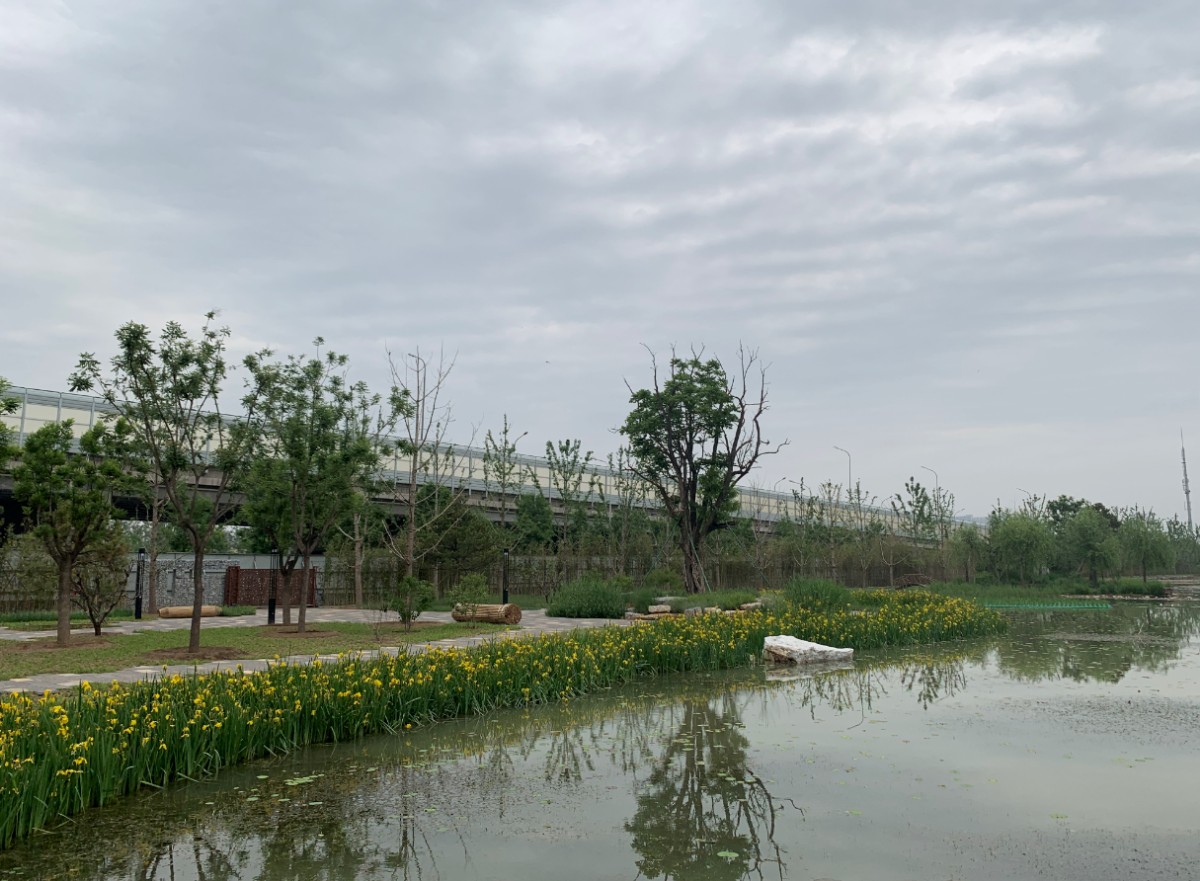 打造城区到副中心绿色廊道！广渠路沿线将现千亩湿地公园 -中国网地产
