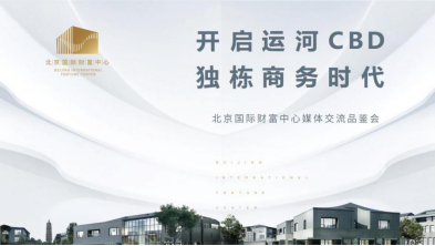 北京国际财富中心 开启运河CBD独栋商务时代-中国网地产