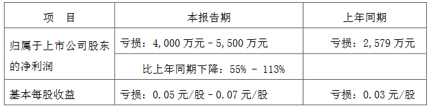 阳光股份：预计上半年归属股东净亏损4000万元–5500万元-中国网地产
