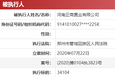 正商置业再被列为被执行人 执行标的34104元-中国网地产