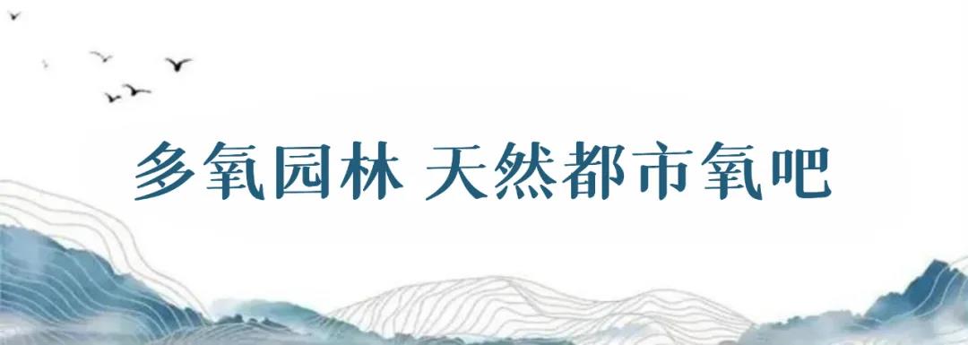 桐梓林达阳光城 滨河高层 让生活回归自然 开启亲水理想生活-中国网地产