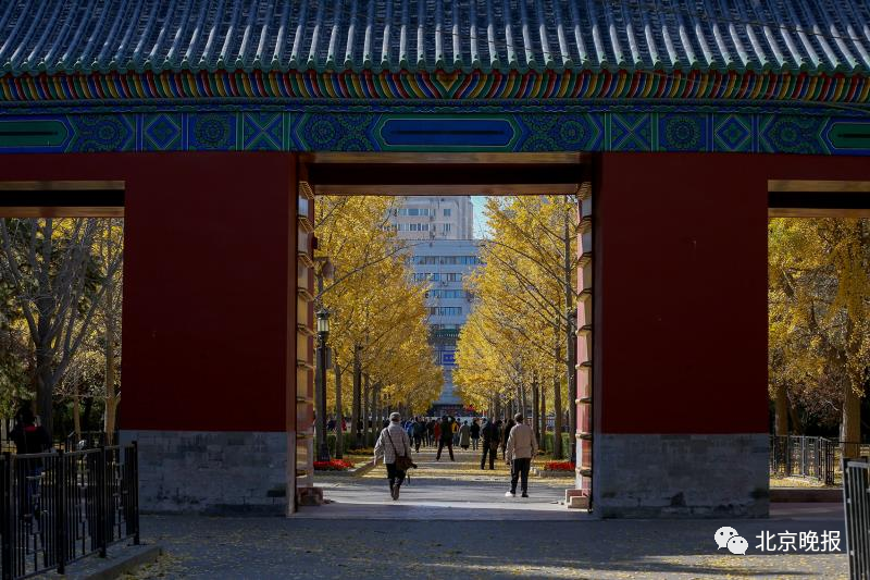 北京“官宣”了，這19處特色彩葉景區，美！-中國網地産