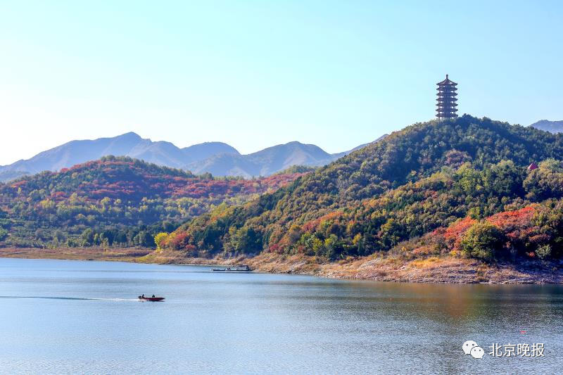 北京“官宣”了，這19處特色彩葉景區，美！-中國網地産
