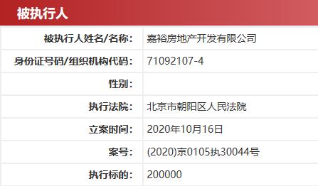 嘉裕房地产列为被执行人 执行标的20万元-中国网地产