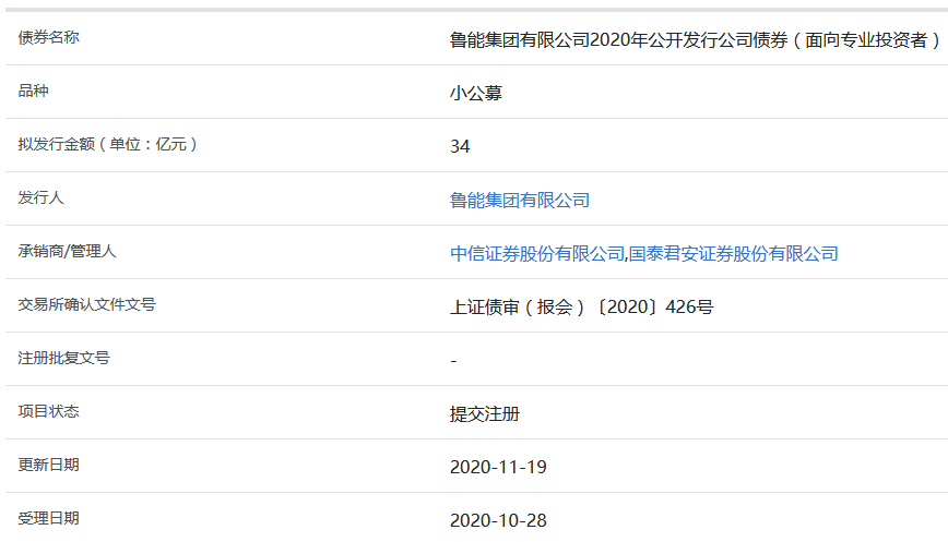 鲁能集团34亿元小公募公司债券在上交所提交注册-中国网地产
