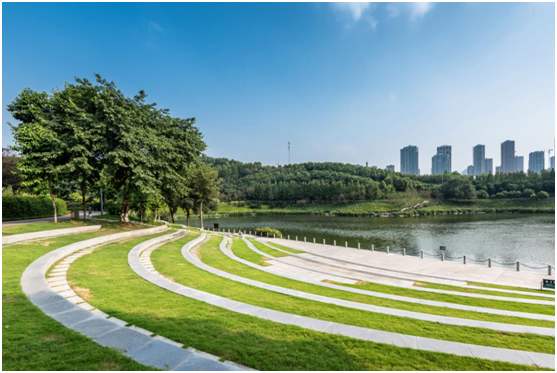 衿湖翠林|立面美学的弧线演绎，让建筑与自然和融共生-中国网地产