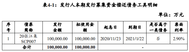 上海張江：擬發行10億元超短期融資券 用於償還即將到期的債務-中國網地産