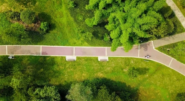 錦城公園將於大運會前基本呈現 今年100公里一級綠道全線貫通-中國網地産