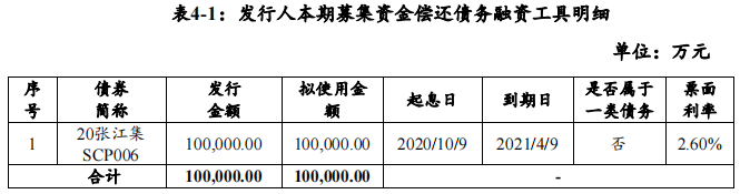 上海張江：擬發行10億元超短期融資券 用於償還債務-中國網地産