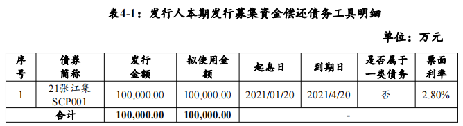 上海張江集團：擬發行10億元超短期融資券 用於償還債務-中國網地産
