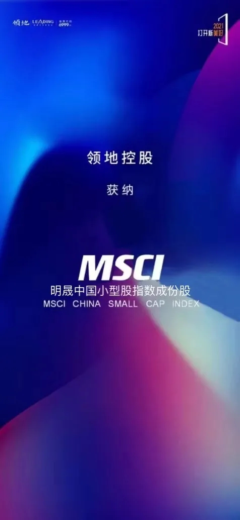 领地控股被国际资本市场肯定 获纳MSCI指数-中国网地产